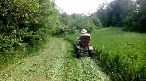 Мотоблок Добрыня