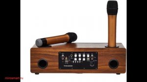 Обзор акустической караоке системы KS -120W