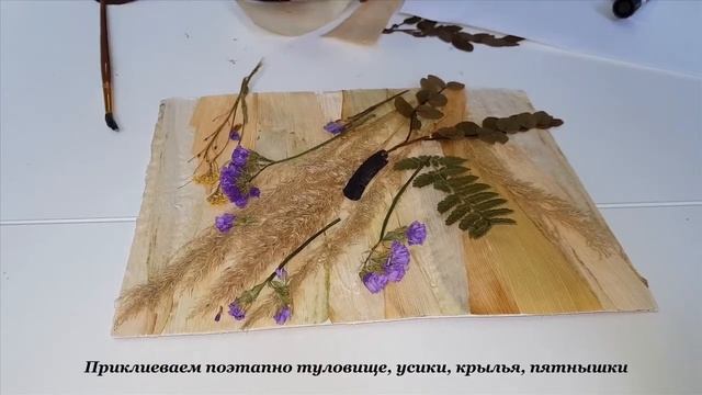 Мастер-класс "Бабочка" смотреть онлайн