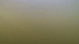 Игра блесны Pontoon21 SINUOSO