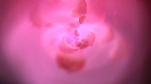 Владимир Кузьмин Моя любовь (Саксофон)