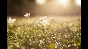 Веселая и позитивная музыка!Утренняя музыка!Музыка чтобы проснуться! Музыка для хорошего Настроения