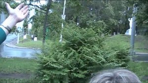 Путешествие из Томска в Воронеж на Луаз 969М
