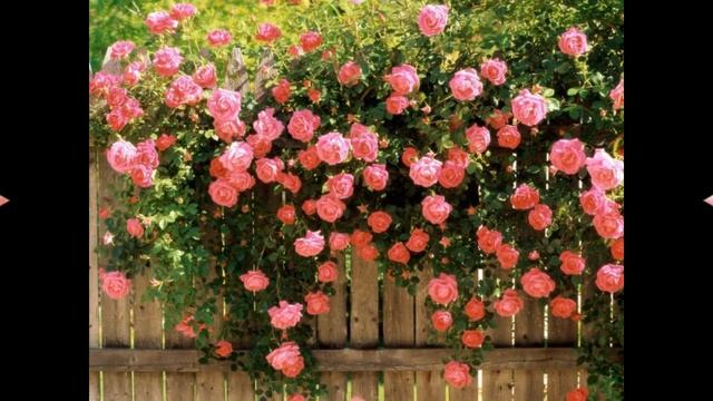 С ПРАЗДНИКОМ ВЕСНЫ! смотреть онлайн