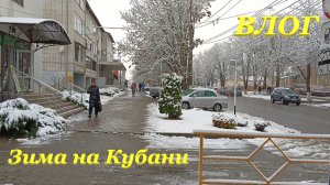 Зима на Кубани❄ / Нужный подарок? / Птички спят?