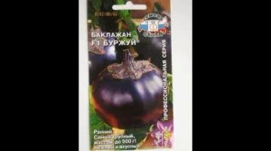 Обзор сорта баклажана "Буржуй" (характеристики, свойства, фото)