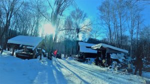 МОРОЗЫ УХОДЯТ, НАЧИНАЕМ ОБЛАГОРАЖИВАТЬ ЗИМОВЬЕ.