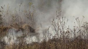 Тушение пала травы полотном