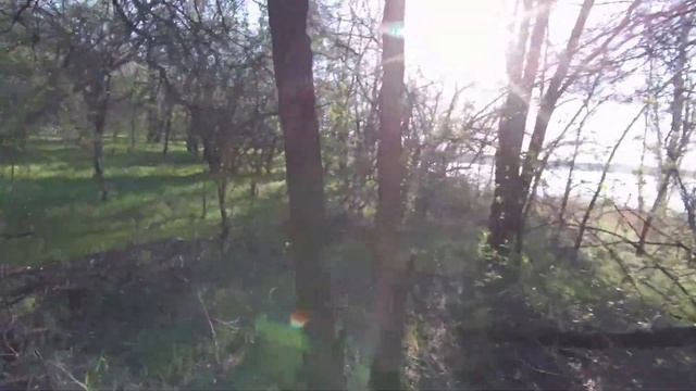 Когда рыба не клюет, я исследую окрестности... Рыбалка 21.04.2018 смотреть онлайн