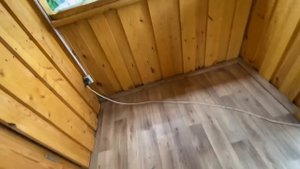 приехал Андрей Клепиков  /генеральная уборка /что растет на огороде /приготовила обед