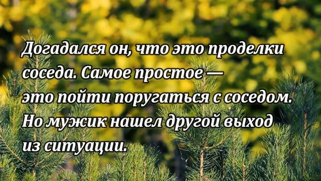 #притчи ПРИТЧА О ЖИЗНИ И ЗАВИСТИ. МУЗЫКА ЭДГАР ТУНИЯНЦ смотреть онлайн