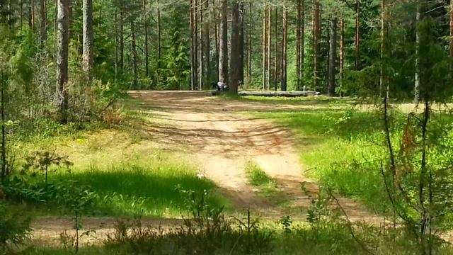 Эпическое падение с питбайка смотреть онлайн