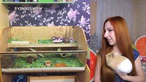 РЕАКЦИЯ на СОДЕРЖАНИЕ ПИТОМЦЕВ ПОДПИСЧИКОВ | SvinkiShow
