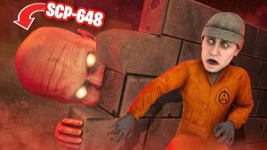ЛЫСЫЙ SCP ГОНИТСЯ ЗА МНОЙ В ЛАБИРИНТЕ! SCP 648 ОХОТИТСЯ НА МЕНЯ
