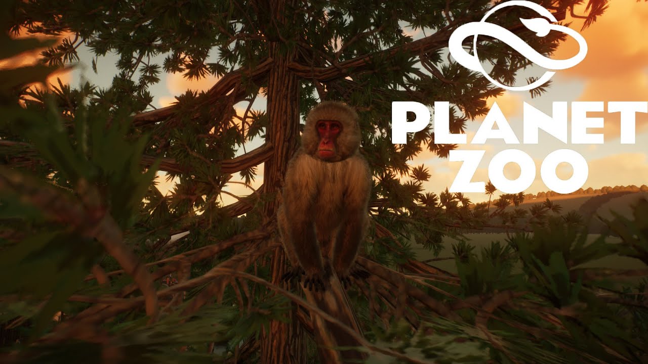 Planet Zoo S1 E6 - Закупаем макакинов