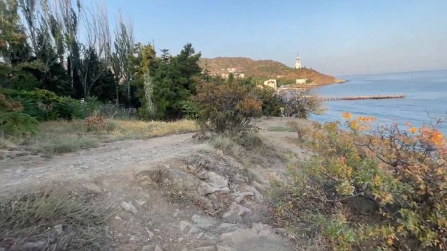 КАКТУСОВАЯ ГОРА! Очумел от уведенного