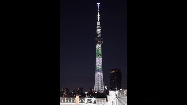 HONDA VEZEL DISNEY SKYTREE with VEZEL смотреть онлайн