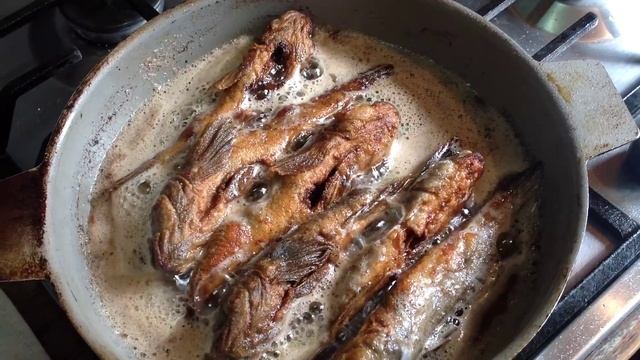 ПОСОБИЕ ДЛЯ ХОЛОСТЯКОВ: ЖАРИМ РЫБУ смотреть онлайн