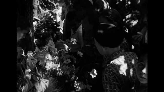 Выставка цветов и плодов 1963г