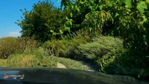 Даниловский овраг-каньон