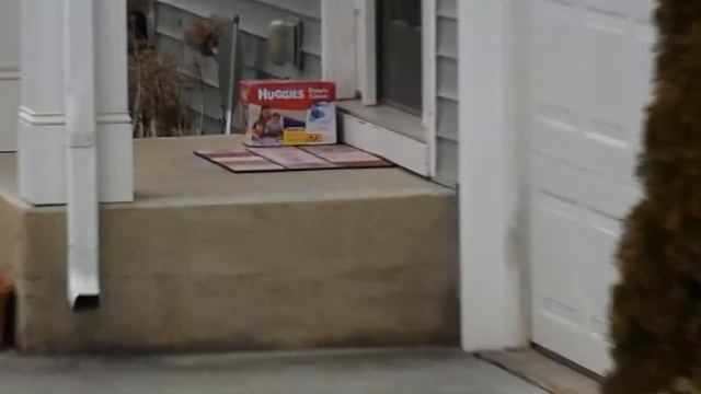 Test Video of Nikon coolpix L810 смотреть онлайн