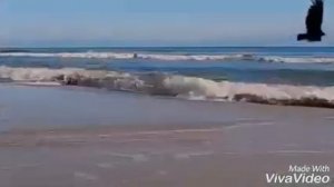 КУМЫКСКАЯ ПЕСНЯ ПРО ЛЮБОВЬ.KUMUK TURK TILDEN