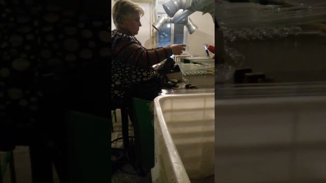 Фабрика Ёлочных Игрушек .1часть смотреть онлайн