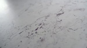 Столешница Полярная звезда с текстурой Алмазная россыпь