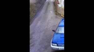 Шанс-Остров сокровищ