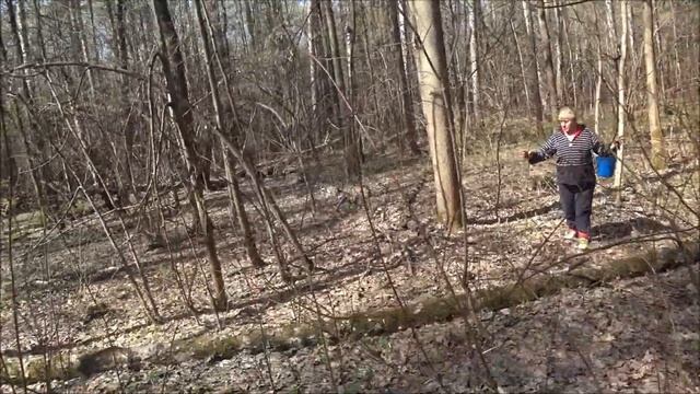 Собираем строчки в подмосковье смотреть онлайн