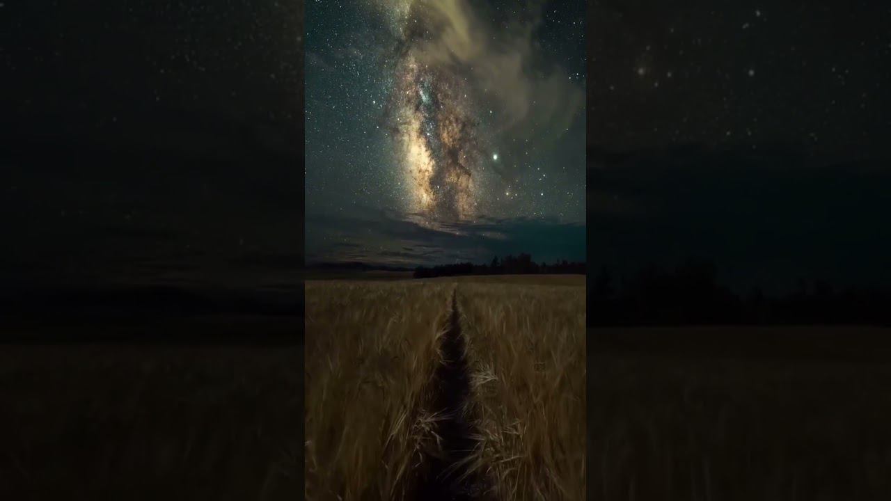 Бесплатный марафон по Предназначению. День 1. Задние 1. Уникальность