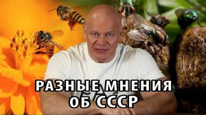 Разное отношение к СССР на наглядном примере.