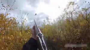 Охота на ворону лучший сборник