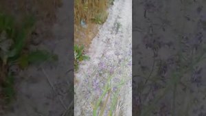 Усть Койсуг,  река Дон.  2022г. рыбалка