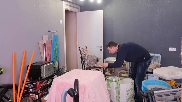 УСТАНОВИЛИ КАМЕРЫ И УЕХАЛИ! смотреть онлайн