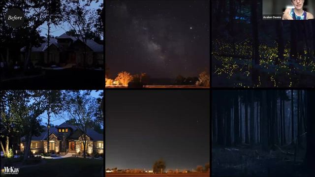 Living Light: Fireflies, Light Pollution & What You Can Do to Help смотреть онлайн