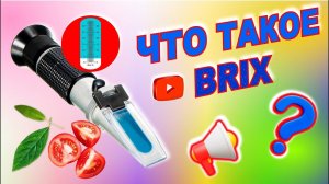 Что такое BRIX в ТОМАТНОЙ ПАСТЕ. Процент сухих веществ в томатной пасте.