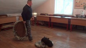 Команда "Место!". Как научить собаку