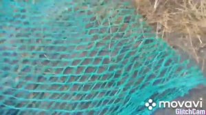 Как сделать рептух своими руками