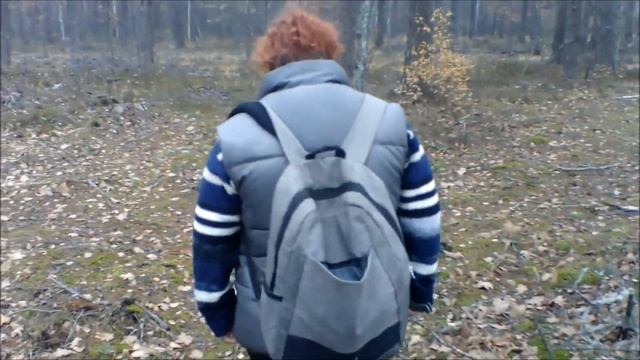 За грибами в лес.Беларусь 2020. Сбор 14 ноября