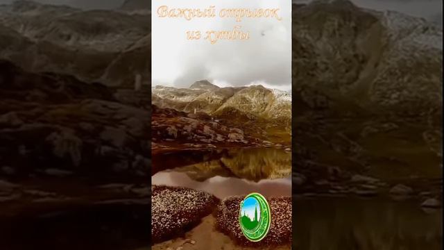 Осмысленное чтение Корана - средство решения всех проблем
