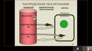 Фарма ВСЕ 1.2. Фармакокинетика.mp4