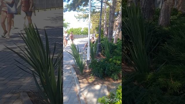 АНАПА. 29 июня 2023 г. Малая бухта. Набережная. смотреть онлайн