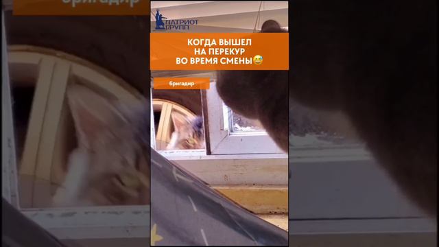 video_2024-09-18_09-04-39 (2)