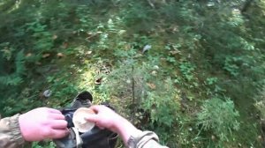 Грузди тихая охота/Жизнь в деревне