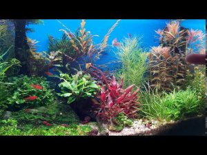 Тесты воды, информация по удо