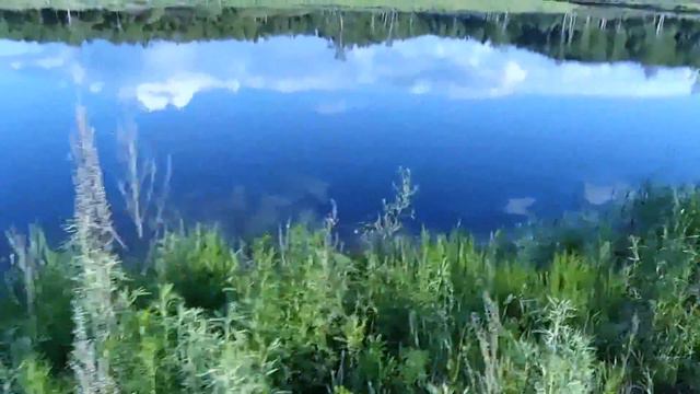 Немного дальневосточной природы