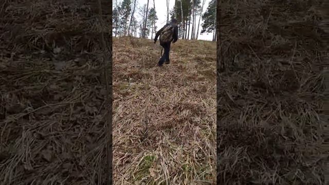 Прогулка на Крутую гору. Шушун. Пригород Красноярска.