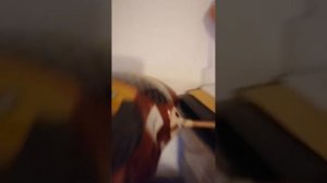 лайфхаки от Рикардо