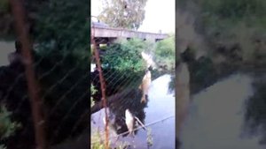 Браканьерская рыбалка!Рыбалка на телевизор! Проверяем телевизоры, экраны